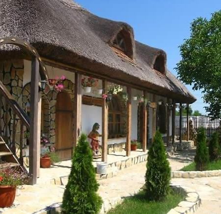Casa Cu Flori Murighiol Extérieur photo