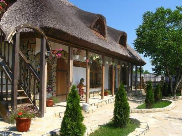 Casa Cu Flori Murighiol Extérieur photo