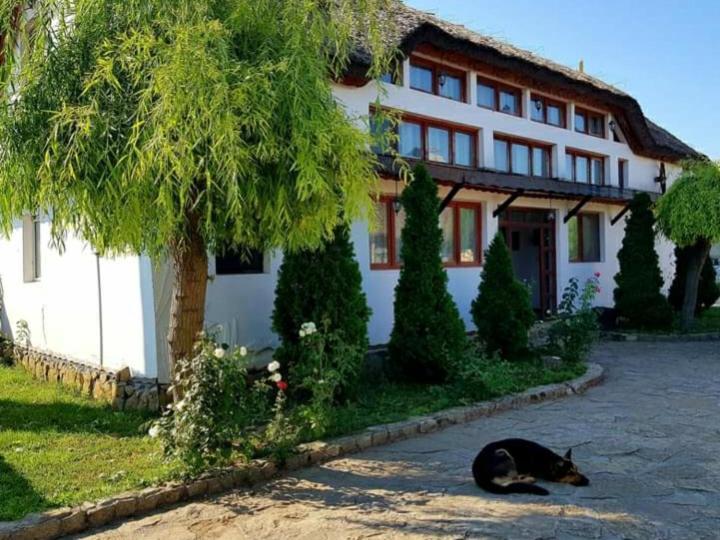 Casa Cu Flori Murighiol Extérieur photo