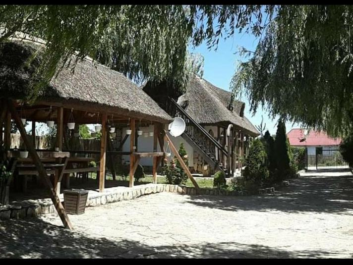 Casa Cu Flori Murighiol Extérieur photo